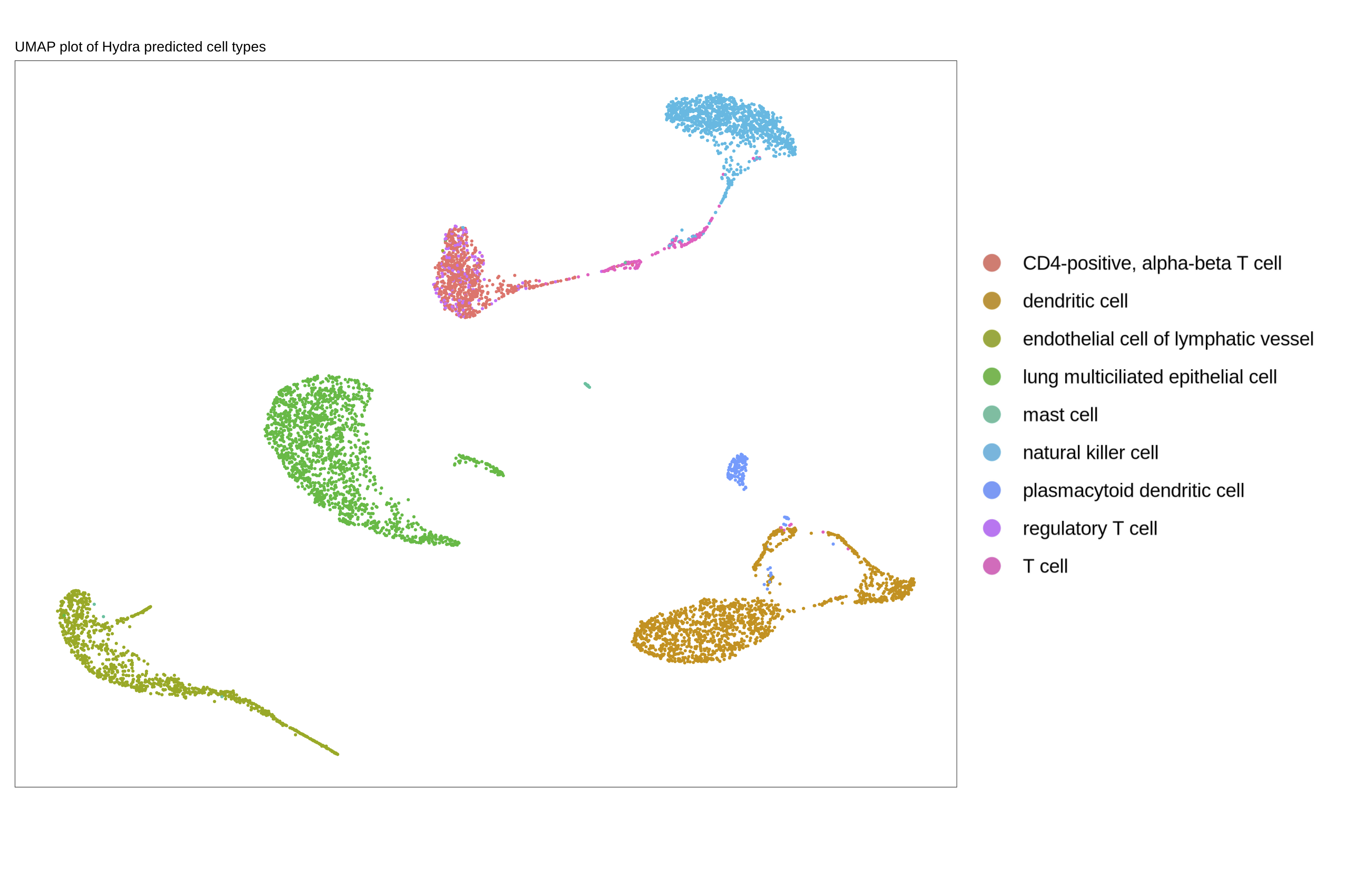 Hydra Predicted cell types
