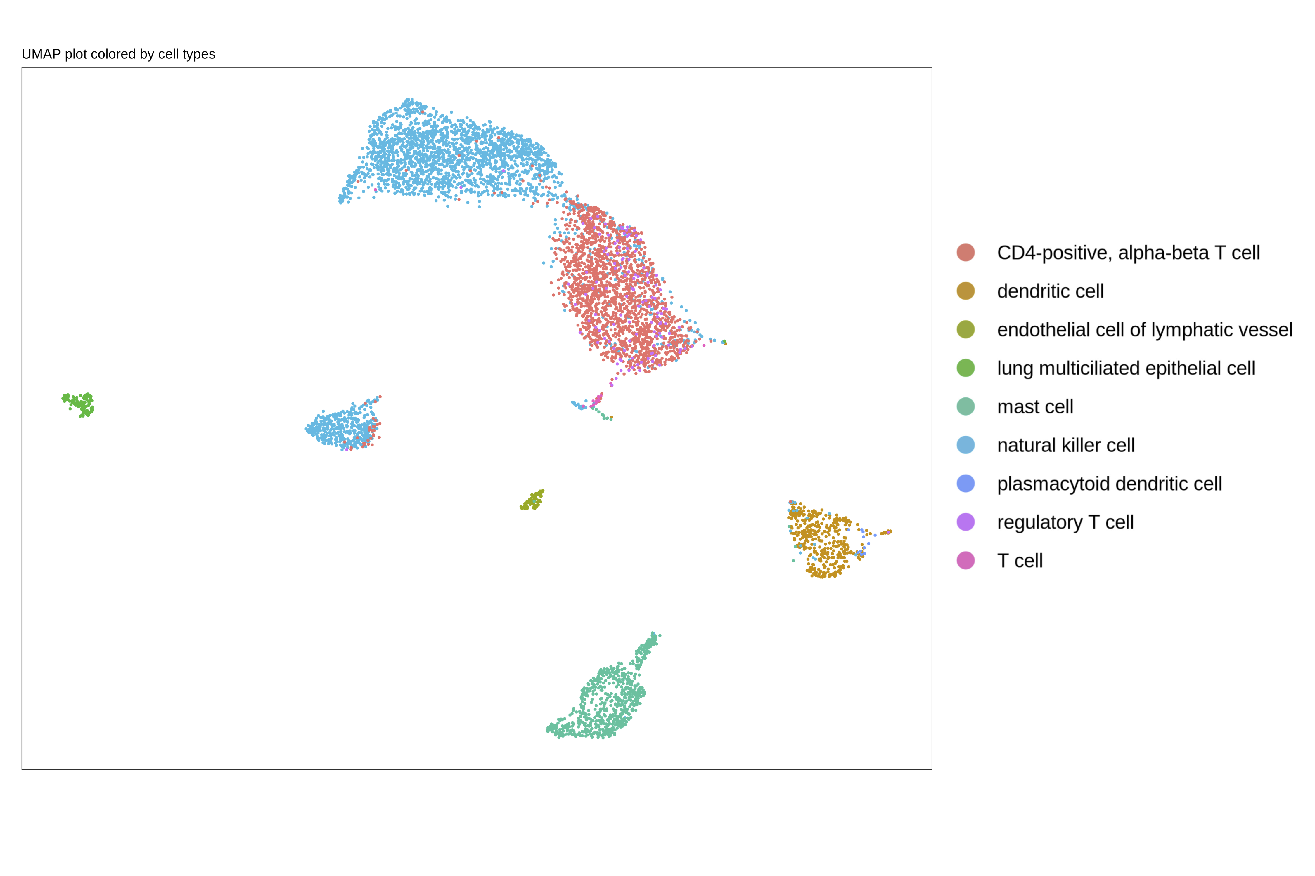 UMAP plot for Lung Madissoon et al