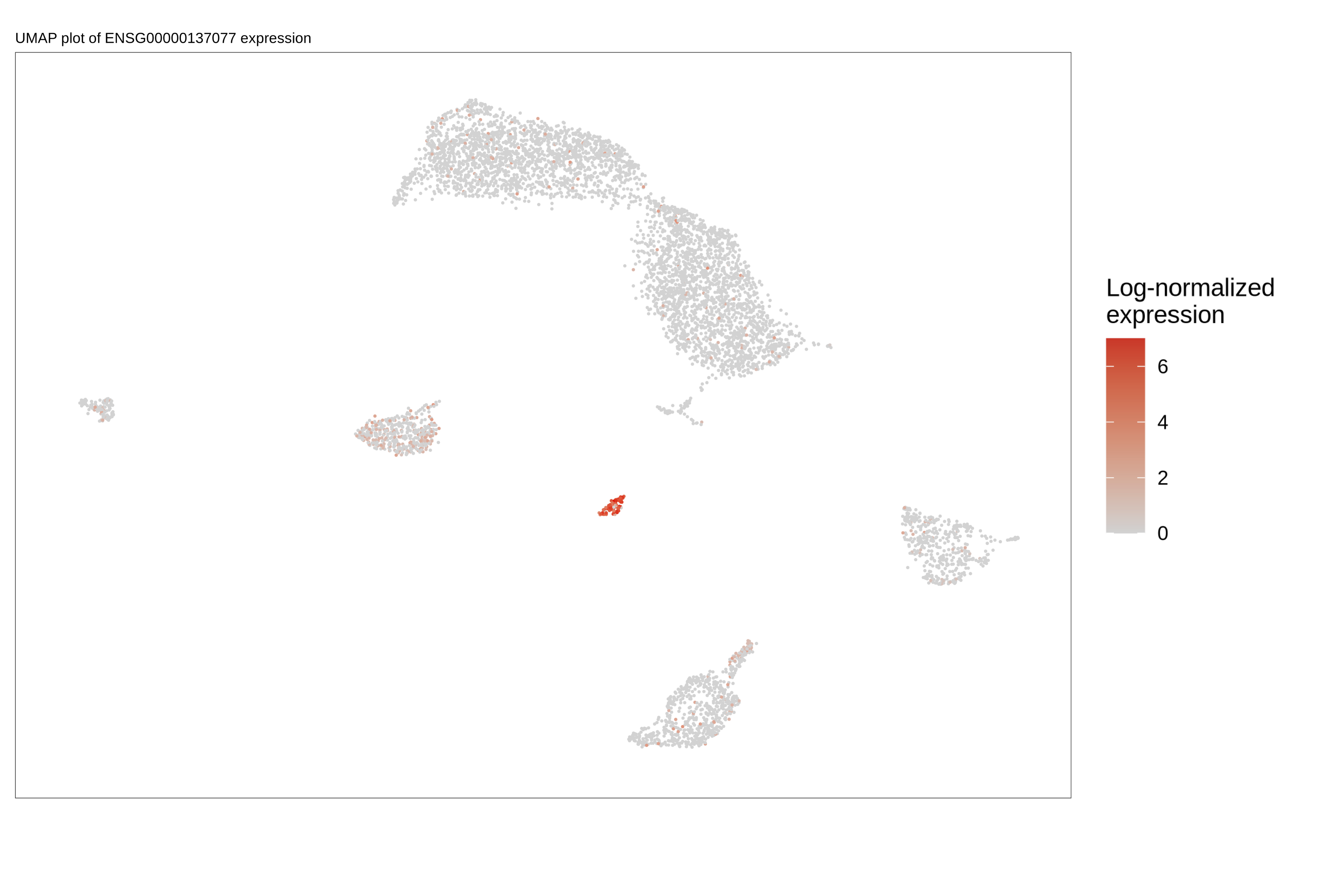 UMAP plot highlighting the expression of gene ENSG00000137077