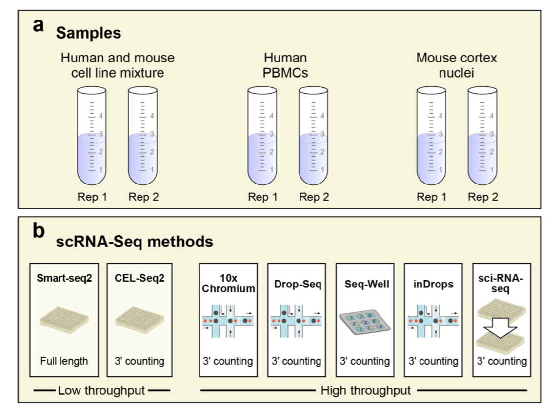 Experimental design for Ding et al. benchmark data. (Ding et al, 2019)