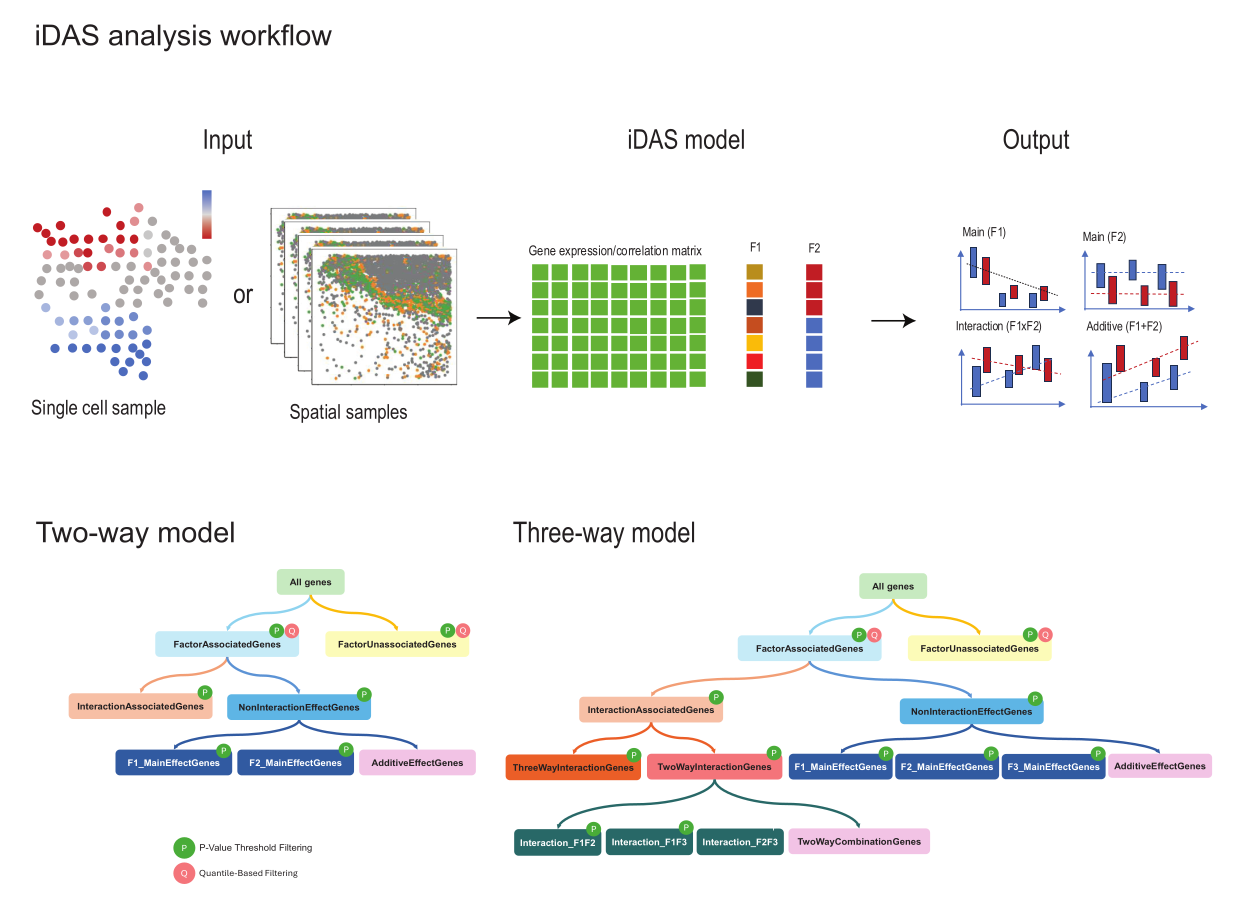 idas_workflow