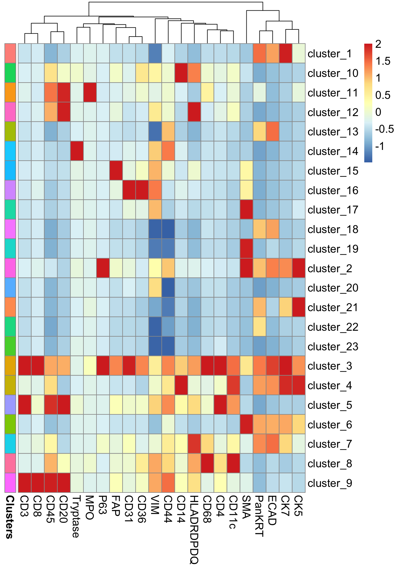 6 Unsupervised clustering for cell annotation – Spatial analysis playbook